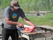 James Roberts cuts the salmon he&rsquo;s caught.