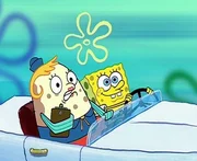 SpongeBob bringt seine Fahrlehrerin zur v^lligen Verzweiflung. 1. Geschichte: SpongeBob gibt nicht auf! Er will unbedingt seinen Führerschein machen. Seine Fahrlehrerin muss sich eines Tricks behelfen, um den Schwamm vom Ruder fernzuhalten. 2. Geschichte: SpongeBob und Patrick wollen an einem Quallen-Wettbewerb teilnehmen. Der Schwamm möchte außerdem in einen der elitärsten Quallen-Clubs eintreten. Doch dummerweise muss er dazu einige superblöde Tests bestehen. SpongeBob bringt seine Fahrlehrerin zur v^lligen Verzweiflung. 1. Geschichte: SpongeBob gibt nicht auf! Er will unbedingt seinen Führerschein machen. Seine Fahrlehrerin muss sich eines Tricks behelfen, um den Schwamm vom Ruder fernzuhalten. 2. Geschichte: SpongeBob und Patrick wollen an einem Quallen-Wettbewerb teilnehmen. Der Schwamm möchte außerdem in einen der elitärsten Quallen-Clubs eintreten. Doch dummerweise muss er dazu einige superblöde Tests bestehen.