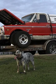 Suzy and the Farmtruck on race night.