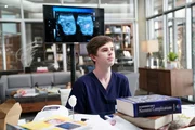 Dr. Shaun Murphy (Freddie Highmore) Dr. Shaun Murphy (Freddie Highmore)