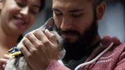 Cappuccino is brought in by owners because it was hit by a car.