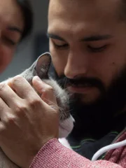 Cappuccino is brought in by owners because it was hit by a car.