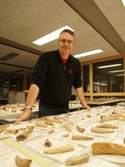 Dr. Urs Leuzinger im Museum f&uuml;r Arch&auml;ologie mit Knochen