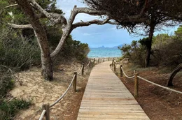 &Uuml;ber 30 &ldquo;gr&uuml;ne Routen&rdquo; gibt es auf Formentera f&uuml;r Wanderer und Radfahrer.