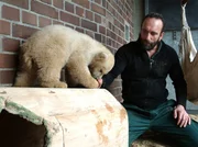 Am 18. April 2006 lief die erste Folge der Zoodokumentation &bdquo;Panda, Gorilla & Co.&ldquo; im Ersten. Moderatorin Madeleine Wehle blickt zur&uuml;ck auf die sch&ouml;nsten, witzigsten und emotionalsten Momente. Reviertierpfleger Thomas D&ouml;rflein mit Knut.