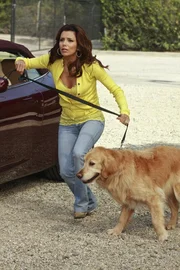 Gabrielle (Eva Longoria) bekommt eine Rivalin in Gestalt des Blindenhundes Roxy; nachdem Roxy sie mehrmals angeknurrt hat, will sie den Hund wieder loswerden.