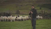 Lewis Barraclough z&uuml;chtet die in Yorkshire heimischen Swaledale-Schafe.