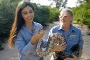 Umweltingenieurin Elizabeth Ramos (li.) und Biologin Sabine Vinke (re.) im Einsatz: Eine Boa constrictor wird vermessen und dokumentiert.