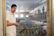 Er hat den Eindruck, dass es seinen Tieren gut geht: Schweinem&auml;ster Dirk Nienhaus in seinem Sauenstall.