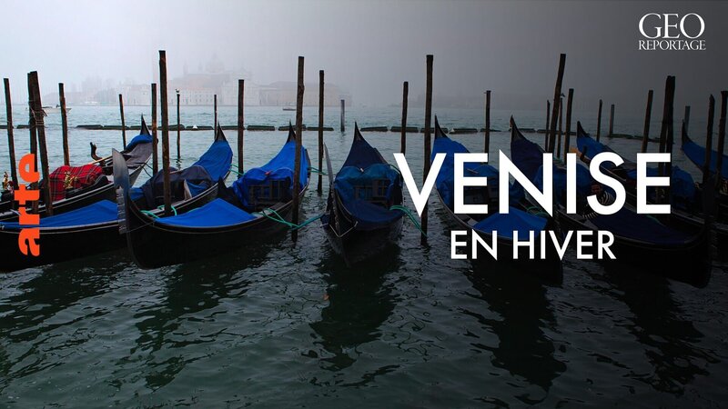 Hinter den Kulissen von Venedig (D, 2014)