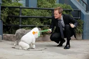 W&auml;hrend Ted und Victoria einen Wendepunkt in ihrer Beziehung erreichen, m&ouml;chte Barney (Neil Patrick Harris) einen Hund zu seinem Begleiter beim Frauenaufrei&szlig;en machen ...