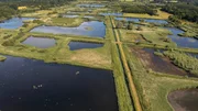 Naturparadies aus Menschenhand: Die Wasserwildnis bietet einen einzigartigen Lebensraum f&uuml;r wilde Tiere. Eine Insel, mitten in der Kulturlandschaft.