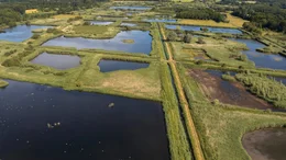 Naturparadies aus Menschenhand: Die Wasserwildnis bietet einen einzigartigen Lebensraum f&uuml;r wilde Tiere. Eine Insel, mitten in der Kulturlandschaft.