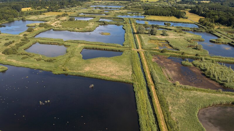 Wasserwildnis in Westfalen - Münsters Rieselfelder (D, 2021)