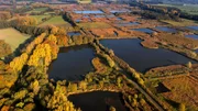 Der Herbst f&auml;rbt das Schilf der Wasserwildnis rotbraun. Die schachfeldartige Anordnung der Stauteiche erinnert an den Ursprung der Rieselfelder, als vormoderne Kl&auml;ranlage der Stadt M&uuml;nster.
