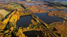 Der Herbst f&auml;rbt das Schilf der Wasserwildnis rotbraun. Die schachfeldartige Anordnung der Stauteiche erinnert an den Ursprung der Rieselfelder, als vormoderne Kl&auml;ranlage der Stadt M&uuml;nster.