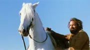 Hiram Coburn (Bud Spencer)