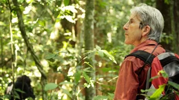 Anthropologie-Professor David Watts.
