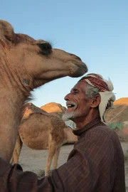 Ein Beduine mit seinem Kamel