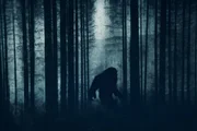 Ein dunkles, gruseliges Konzept. Eine mysteri&ouml;se Bigfoot-Figur, die durch einen Wald l&auml;uft. Silhouettiert gegen B&auml;ume in einem Wald. Mit einem Grunge, texturiert bearbeiten.