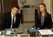 Nachdem ein Totgeglaubter quicklebendig auf seiner eigenen Beerdigung aufgetaucht ist, m&uuml;ssen Booth (David Boreanaz) und Brennan (Emily Deschanel) nun herausfinden, wessen Asche sich in der Urne befindet und wie der Mann zu Tode kam.