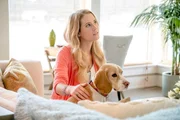 Die Hundebesitzerin Laura (Cassidy Gifford) muss sich mit dem Katzenbesitzer Spencer ein Haus teilen.