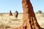 Der Insektenforscher Eugène Marais untersucht alte Termitenhügel auf selten vorkommende tonhaltige Mineralien. Der Insektenforscher Eugène Marais untersucht alte Termitenhügel auf selten vorkommende tonhaltige Mineralien.