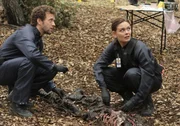 Jack Hodgins (TJ Thyne, l.); Temperance Brennan (Emily Deschanel, r.). Jack Hodgins (TJ Thyne, l.); Temperance Brennan (Emily Deschanel, r.).