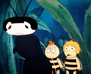 Die Wespe ist traurig, eine Fliege hat ihr alle Eier gestohlen.