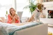 Die Hundebesitzerin Laura (Cassidy Gifford) muss sich mit dem Katzenbesitzer Spencer ein Haus teilen.