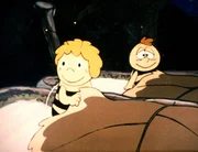 Die K&auml;fer haben sich f&uuml;r den Winter unterm Laub verkrochen.