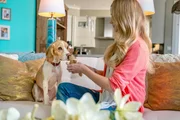 Die Hundebesitzerin Laura (Cassidy Gifford) muss sich mit dem Katzenbesitzer Spencer ein Haus teilen.
