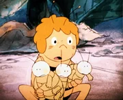 Was fängt Maja mit den drei Blattlausbabys an? Was fängt Maja mit den drei Blattlausbabys an?