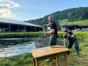 Andreas Jobst (l.) beim Herausheben der Netze auf seiner Fischzucht in Greifenburg.