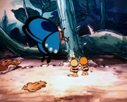 Der Fr&uuml;hling ist da, die ersten Schmetterlinge kommen.