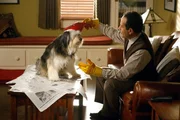 Monk (Tony Shalhoub) kümmert sich liebevoll um den von ihm adoptieren Hund Shelby. Wenn da nur nicht die lästigen Hundehaare wären... Monk (Tony Shalhoub) kümmert sich liebevoll um den von ihm adoptieren Hund Shelby. Wenn da nur nicht die lästigen Hundehaare wären...