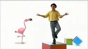 Im Flamingo-Lied erkl&auml;rt Robert, warum diese V&ouml;gel auch manchmal auf zwei Beinen stehen.