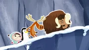 Bei der Rückreise zur Tundra über die Berge zeigt sich, dass der junge Moschusochse Willy ein ziemlich schwieriger Begleiter ist. Zu seiner allgemein großen Ängstlichkeit kommt nun auch noch dazu, dass er gar nicht schwindelfrei ist. Bei der Rückreise zur Tundra über die Berge zeigt sich, dass der junge Moschusochse Willy ein ziemlich schwieriger Begleiter ist. Zu seiner allgemein großen Ängstlichkeit kommt nun auch noch dazu, dass er gar nicht schwindelfrei ist.