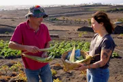 Zu Tisch Lanzarote – Spanien José und Tochter Begoña Frahija ernten Aloe Vera Zu Tisch Lanzarote – Spanien José und Tochter Begoña Frahija ernten Aloe Vera
