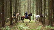 Babenbergische Ritter reiten durch den Wald.