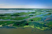 Traumrouten Amerikas Durch Louisiana entlang des Mississippi Eine Reise durch Louisiana, immer entlang den Ufern des Mississippi