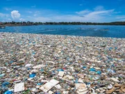 Meeresverschmutzung durch M&uuml;ll.