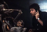 Fox Mulder (David Duchovny)