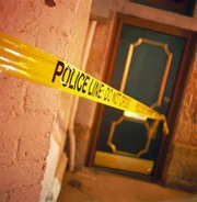 Original Tatort-Fotos, Video-Ausschnitte aus den Verh&ouml;ren und Interviews mit Angeh&ouml;rigen geben einen spannenden und genauen Eindruck von den spektakul&auml;rsten F&auml;llen der j&uuml;ngeren amerikanischen Kriminalgeschichte ...