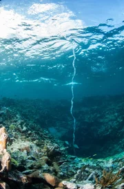 Ein Film von Jonathan Smith &uuml;ber das Ph&auml;nomen eines Strudels auf den Bahamas.