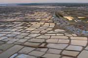 Die Songor-Lagune – einst Feuchtgebiet – ist heute eine riesige Saline. Seit fast 500 Jahren schürfen die Ada hier Salz. Die Songor-Lagune – einst Feuchtgebiet – ist heute eine riesige Saline. Seit fast 500 Jahren schürfen die Ada hier Salz.