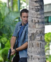 Bei Steve (Alex O'Loughlin) wird eingebrochen, die Diebe nehmen den Werkzeugkasten seines Vaters mit. Und nicht nur das - Steves Schwester Mary wird entführt! Steve und sein Team versuchen alles, um sie zu retten ... Bei Steve (Alex O'Loughlin) wird eingebrochen, die Diebe nehmen den Werkzeugkasten seines Vaters mit. Und nicht nur das - Steves Schwester Mary wird entführt! Steve und sein Team versuchen alles, um sie zu retten ...