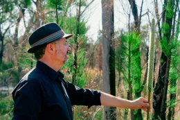 Ben Miller ist ein Feuer&ouml;kologe der Westaustralischen Naturschutzbeh&ouml;rde: Er erforscht, welche Pflanzen sich wie nach einem Feuer erholen und wie sie sich gegen Feuer sch&uuml;tzen.