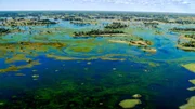 der Okavango mit seiner wundersch&ouml;nen Landschaft.