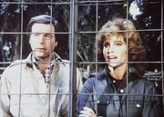 Jonathan (Robert Wagner, l.) und Jennifer (Stefanie Powers, r.) befinden sich im s&uuml;damerikanischen Dschungel. Doch die Idylle tr&uuml;gt ...